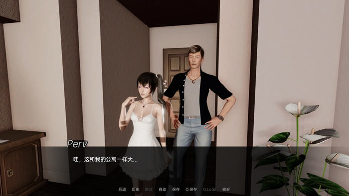 图片[4]-迷一样的遗产 Ver0.6 汉化版 PC+安卓 SLG游戏&新作 1.9G-歪次元