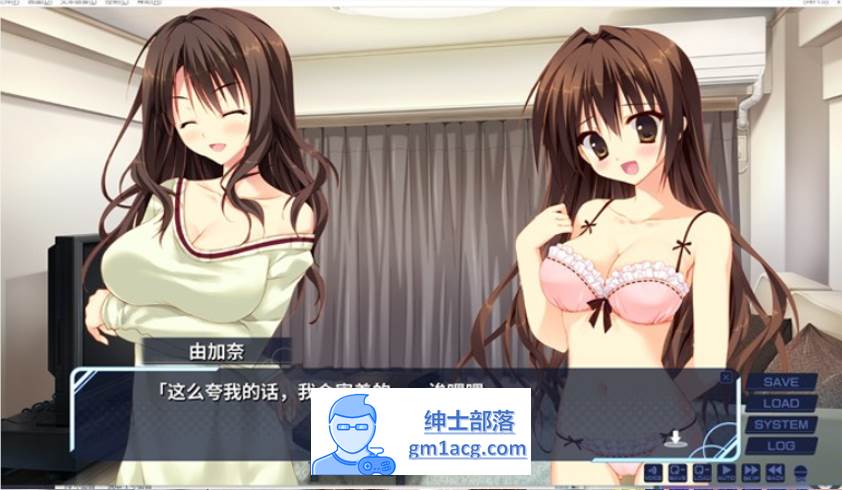 图片[3]-【纯爱GAL/中文】妹的圣域~妹のセイイキ STEAM官方中文步兵版【新作/CV/2.2G】-歪次元