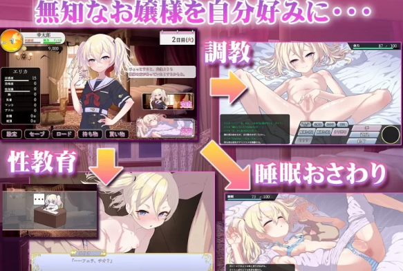 图片[2]-【SLG/AI汉化/PC】 懵懂无知的大小姐 このお嬢様、無知につき [PC+1.1g]-歪次元